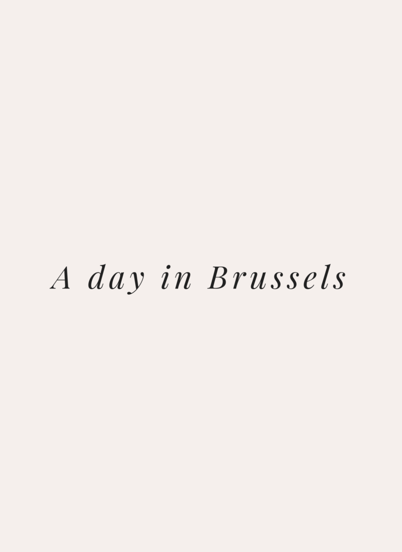 A Day In Brussels
