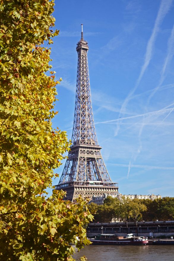 Paris In The Fall