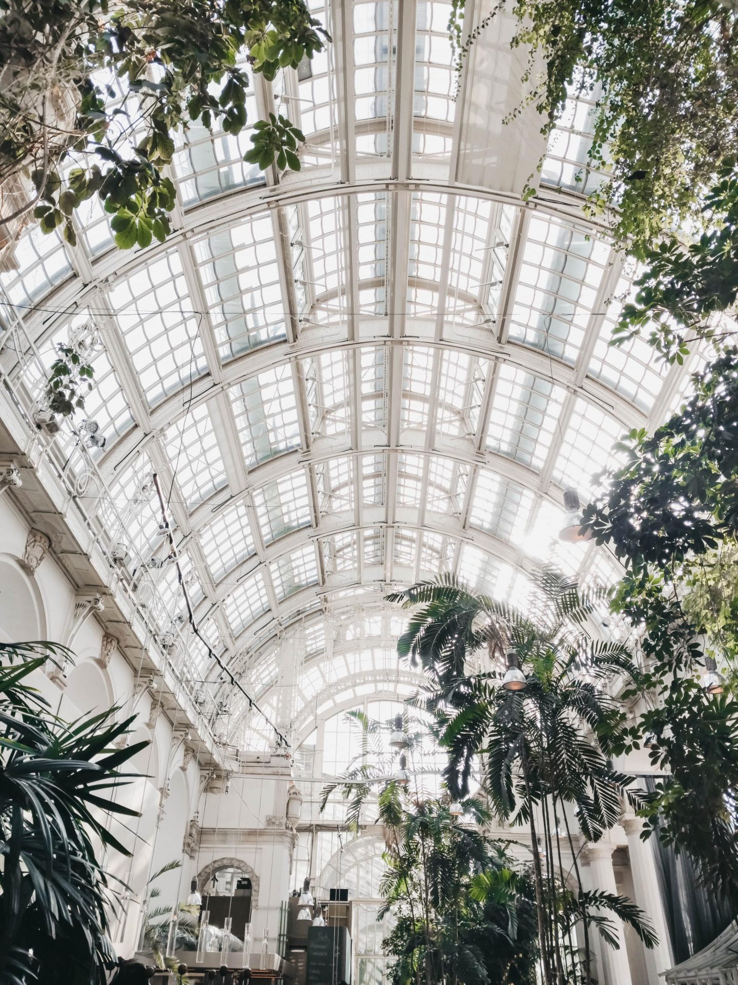 vienna palmenhaus