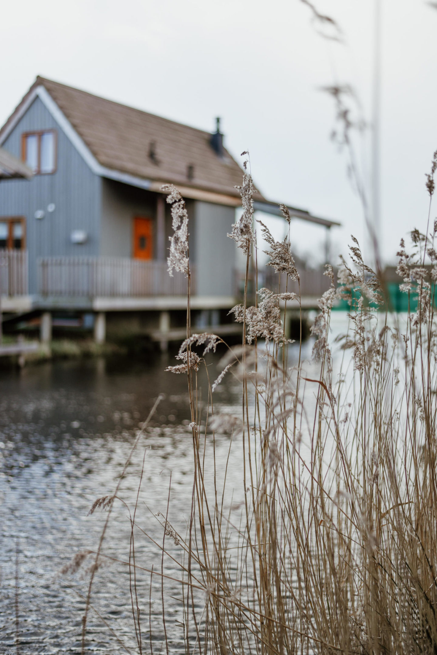 vakantiehuis in landal reeuwijkse plassen